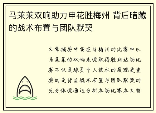 马莱莱双响助力申花胜梅州 背后暗藏的战术布置与团队默契