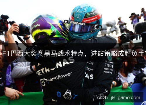 F1巴西大奖赛黑马战术特点，进站策略成胜负手